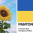 The colors of the Ukrainian flag, with their Pantone name