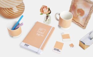 A notebook, two coffee mugs, a frame, and a rose in a vase, all in the new 2024 Pantone Color of the Year, Peach Fuzz