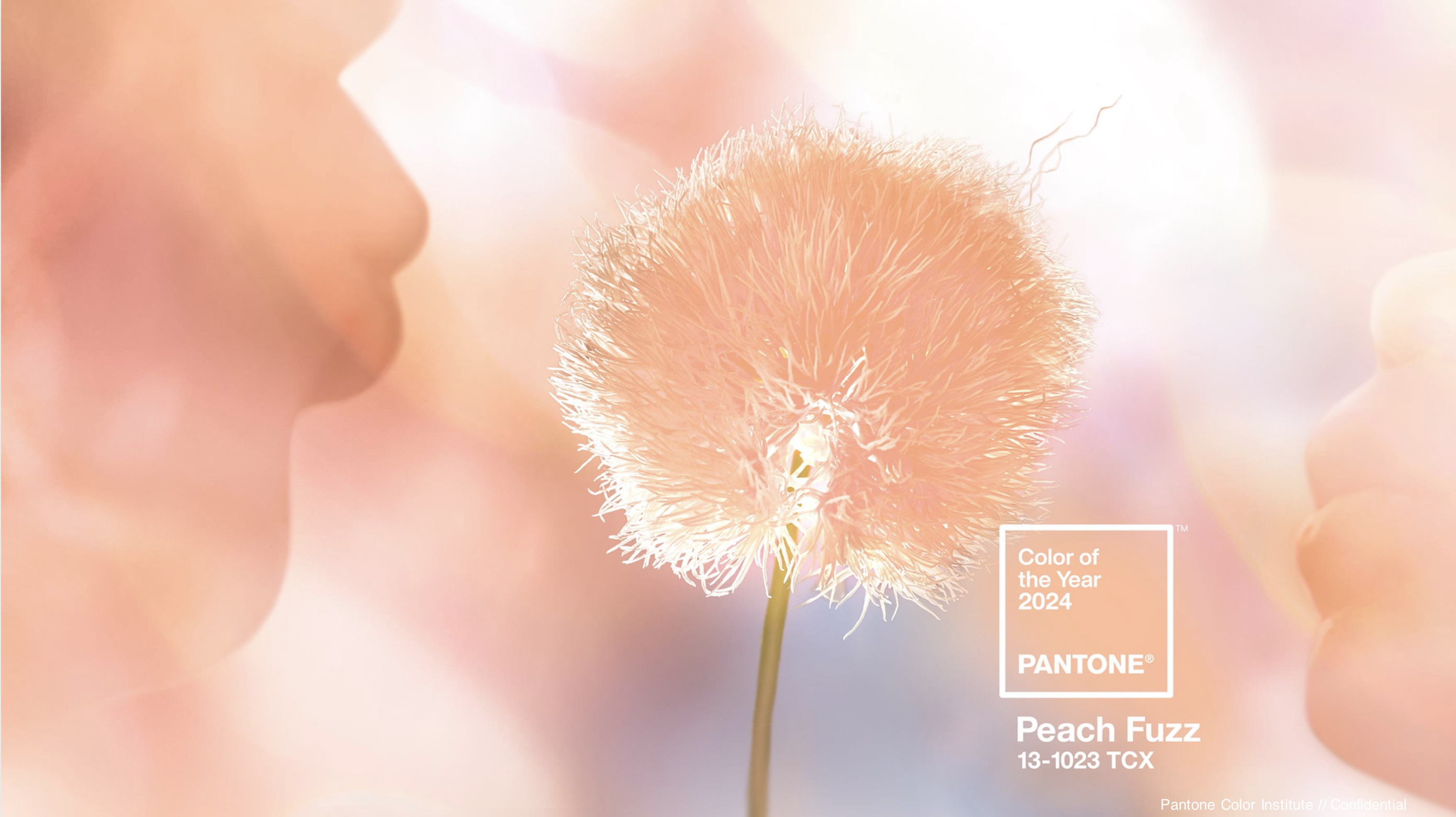 A graphic showing the Pantone Color of the Year for 2024, Peach Fuzz. It shows two people blowing on a dandelion seed head in shades of peach