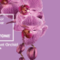 A graphic for the Pantone Color Institute's 2014 Color of the Year, Radiant Orchid, showing a pink orchid spray