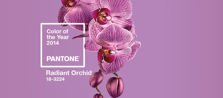 A graphic for the Pantone Color Institute's 2014 Color of the Year, Radiant Orchid, showing a pink orchid spray